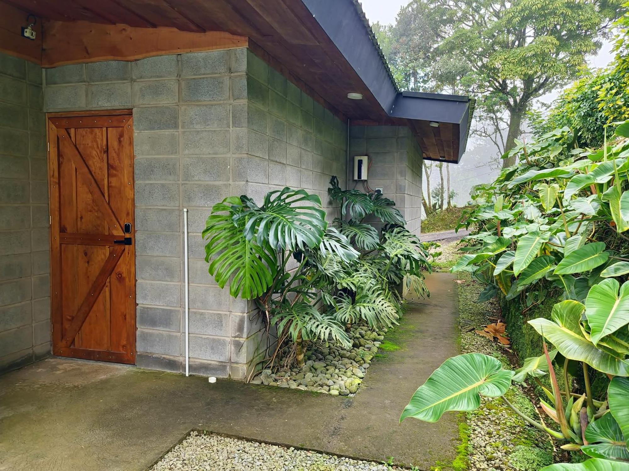 Espectacular Cabana Moderna De Montana + Bosque Nuboso +Wifi Zarcero Екстер'єр фото